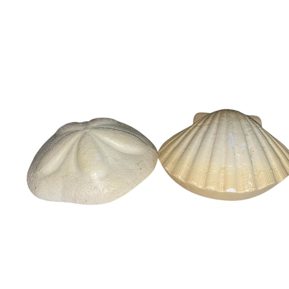 Sea Shell & Sea Biscuit Wall Decor - Picture 3 of 11